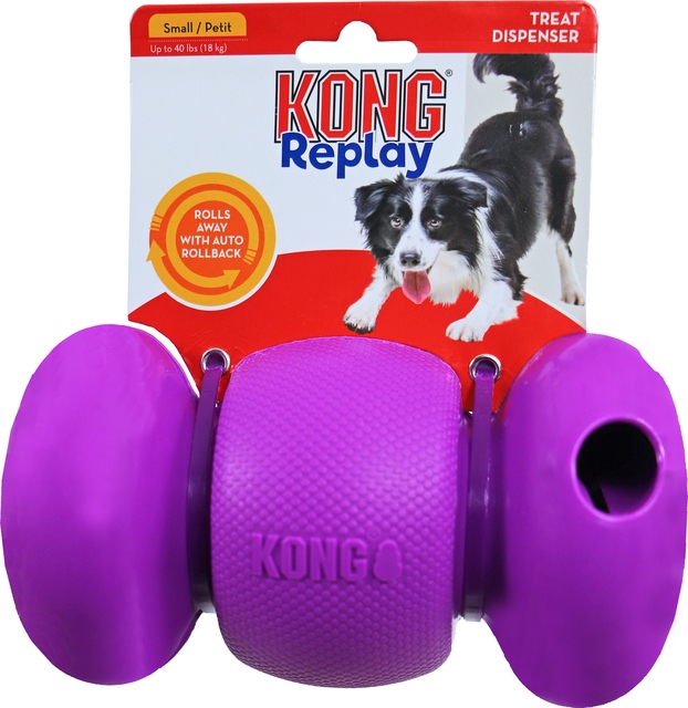 Kong Replay Small