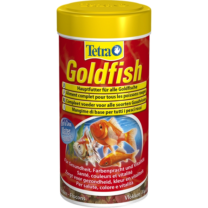 Tetra Goldfish