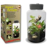 Lucky reptile insect tarrium 5lt