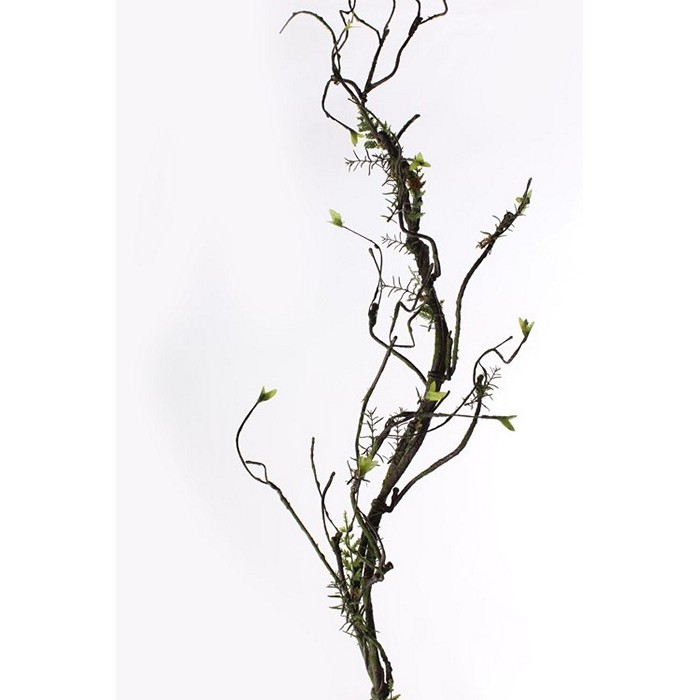 Jeugd Betrokken behuizing decoratie tak met planten 145cm | Drupal
