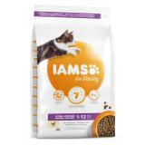 IAMS for Vitality met kip kitten