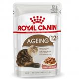 ROYAL CANIN® Ageing 12+ in Gravy