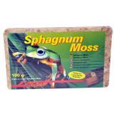 Sphagnum moss gedroogd