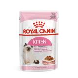 ROYAL CANIN® Kitten in gravy